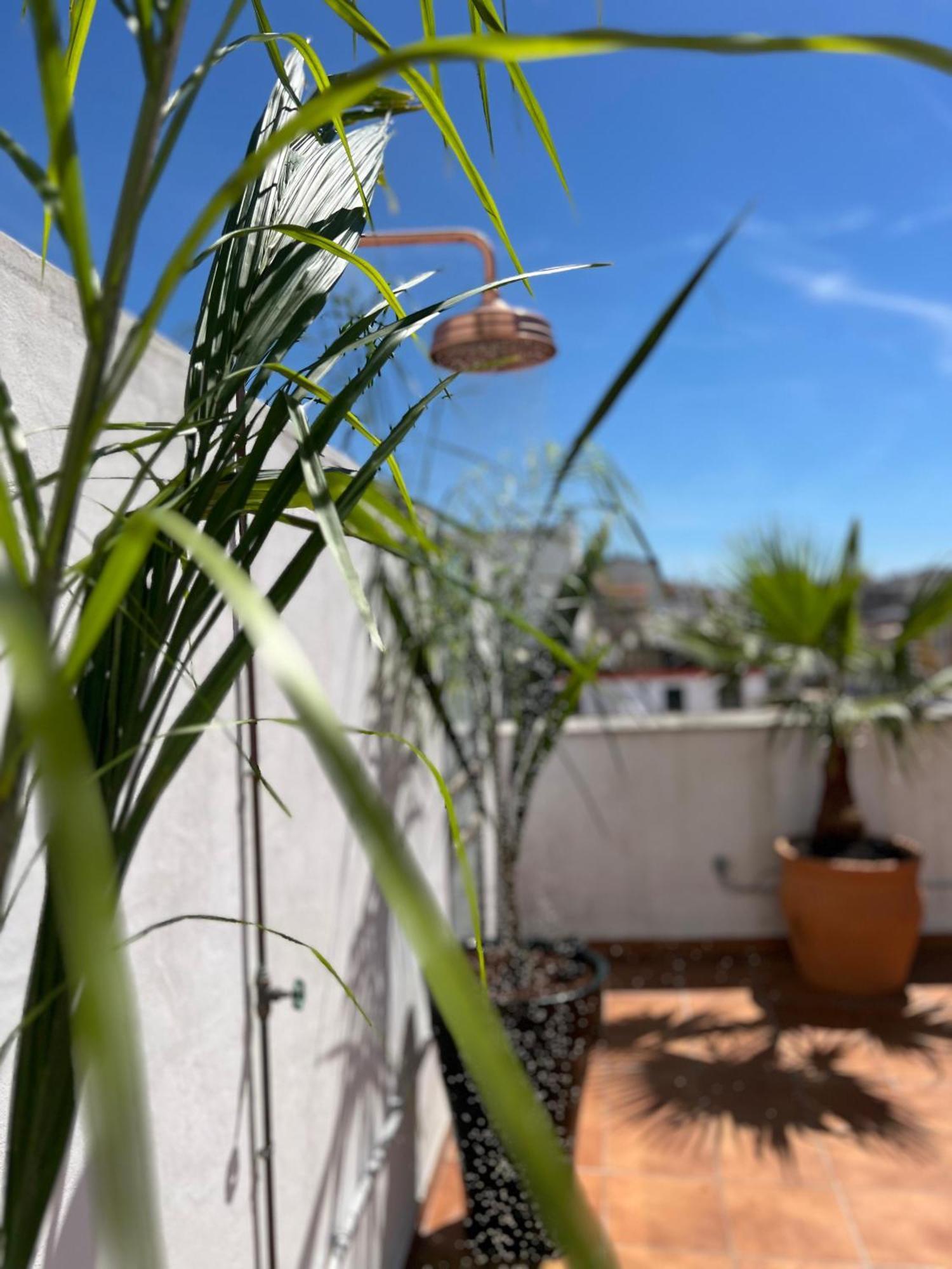 Apartmán La Terraza De Porvenir 10 - Jerez De La Frontera Exteriér fotografie